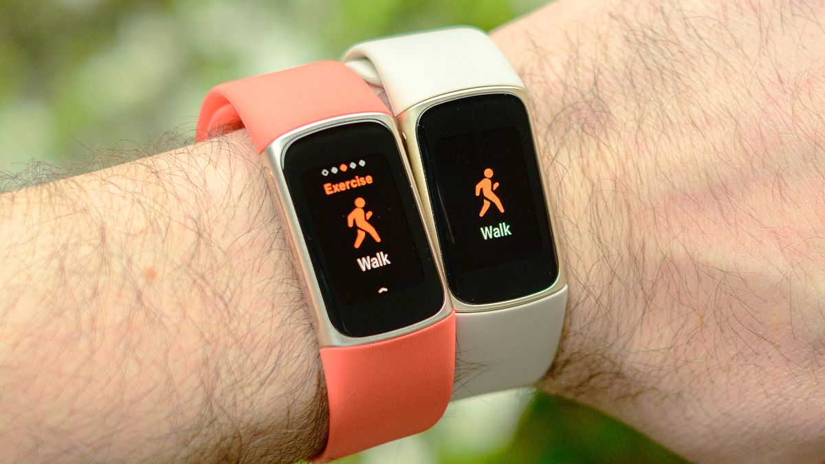 Google is slowly killing Fitbit should you still buy one Tom s Guide