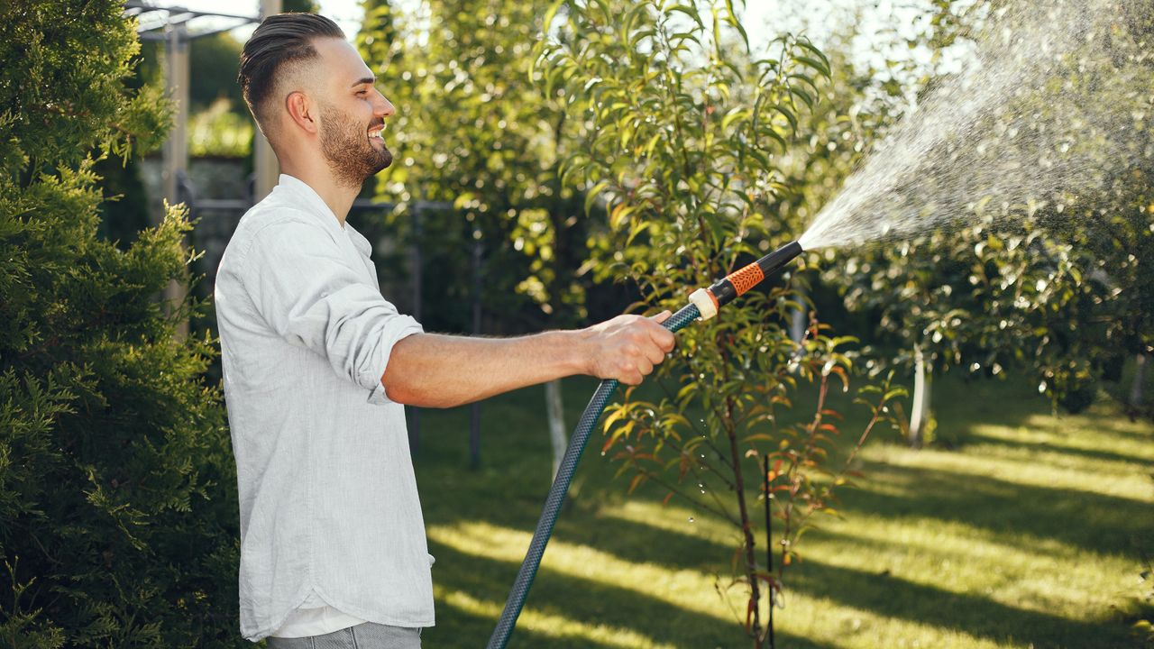 Garden hose being used to water plants