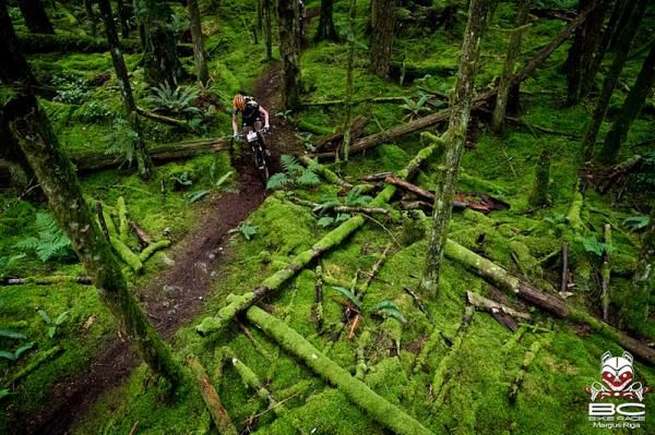 Carpets of moss. You almost want to fall off the bike.
