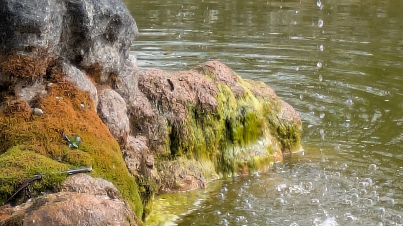 google pixel 9a vs google pixel 8a photo shootout - pixel 8a 8x zoom
