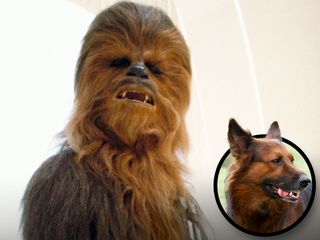 Wookie from Star Wars and George Lucas' dog.