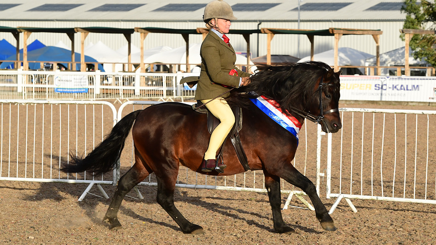 Heritage Show 15.10.2266172