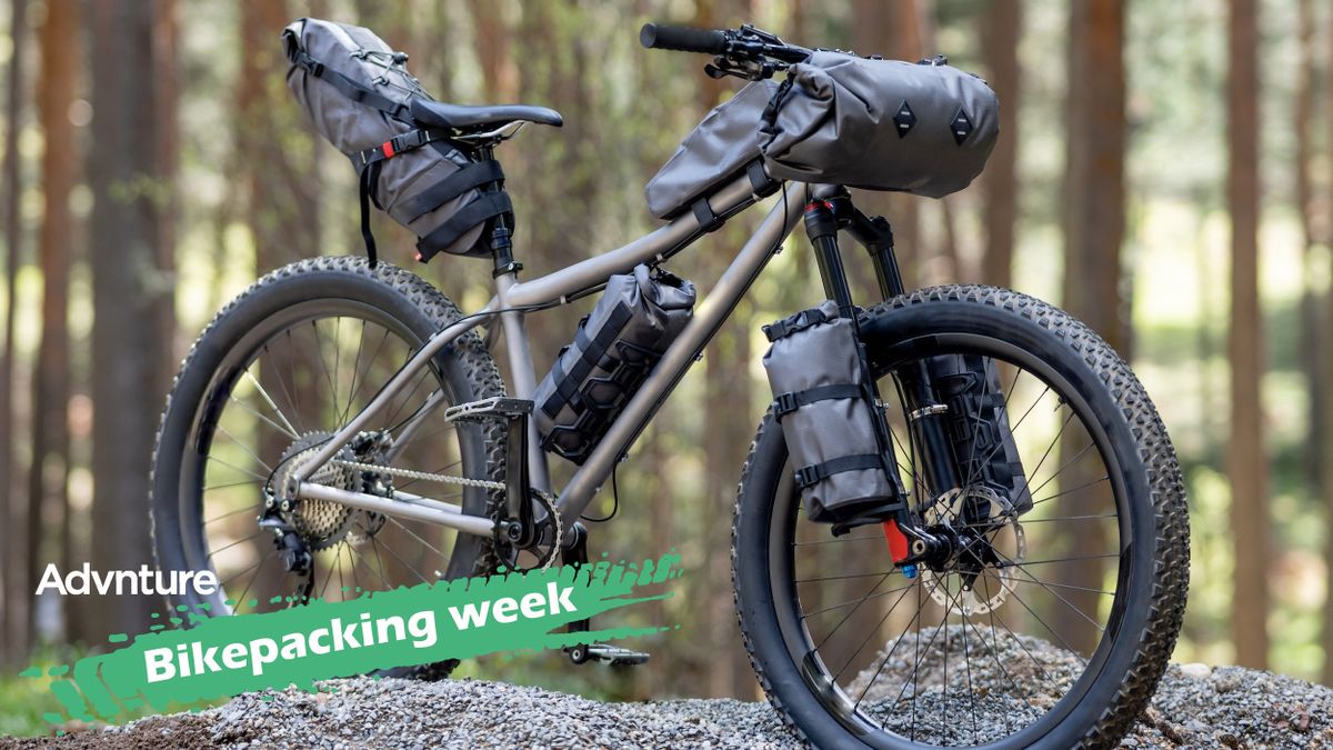 Mountain bike with bikepacking bags