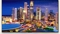 LG TV OLED C4 55 pouces