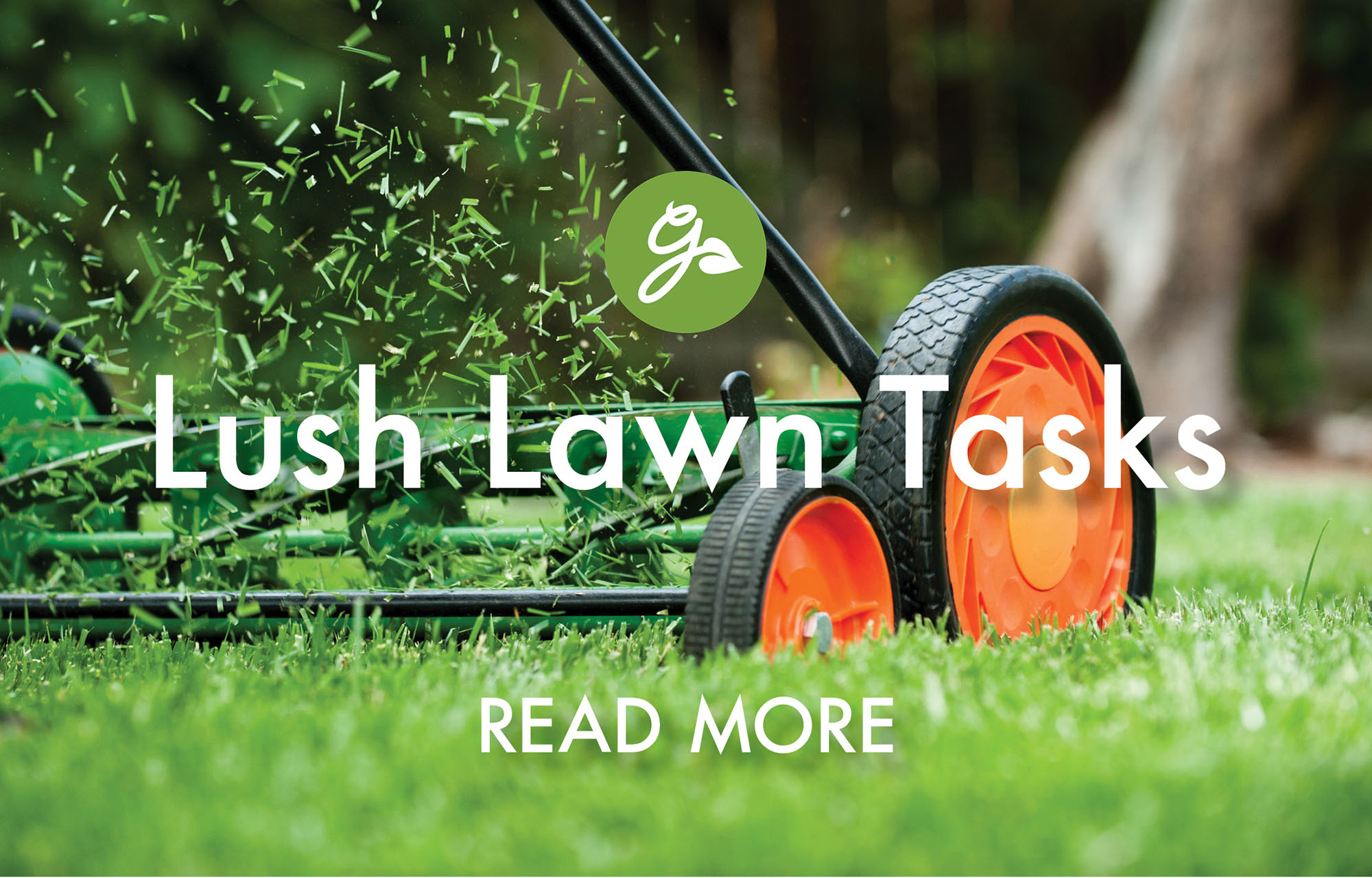 Read more about March lawn care tasks. Image shows gardener mowing lawn with push lawn mower