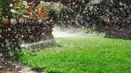 A lawn sprinkler watering the grass with red flowers in the background