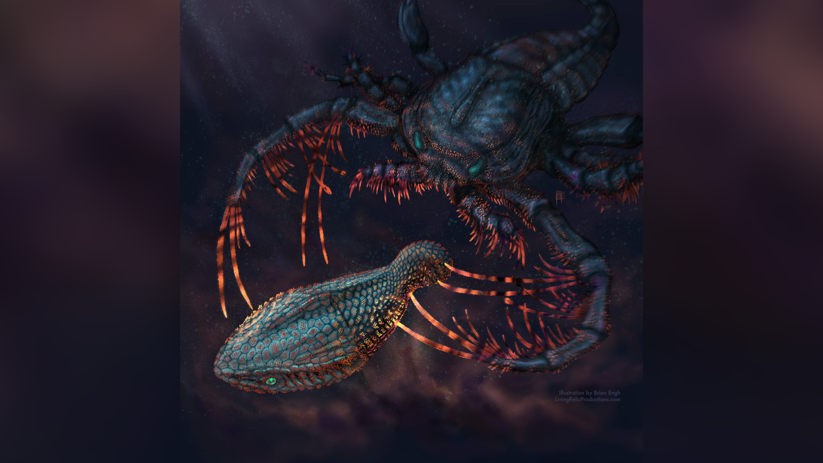 Our teeth evolved from fish 'body armor' over 460 million years, scientists discover