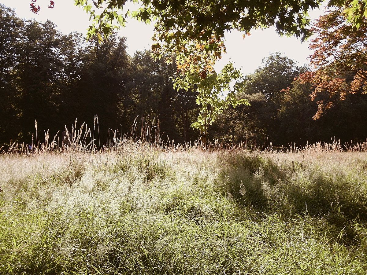 Image taken using the Camp Snap 2
