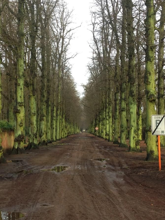 This time of year, there is plenty of mud in Belgium