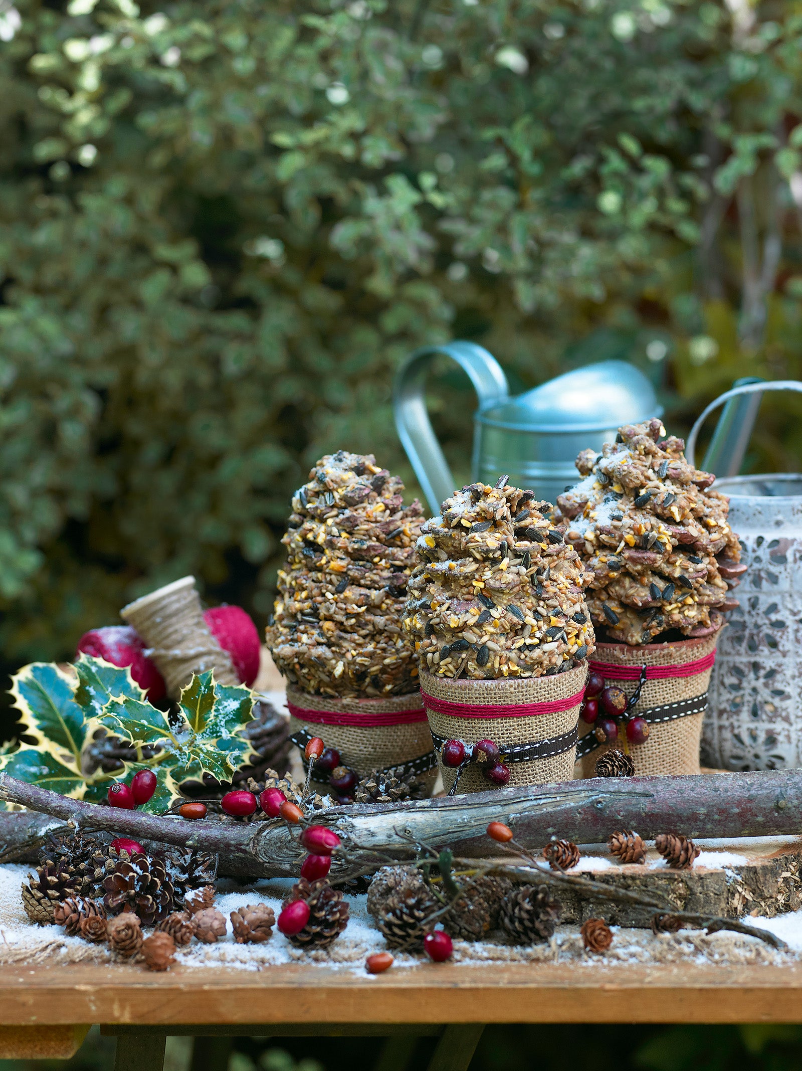 Suet and pinecone birdfeeders on outdoor table with holly and hips