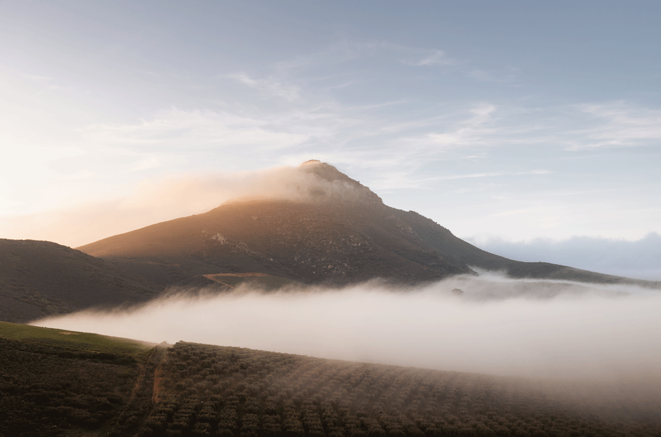 Paardeberg