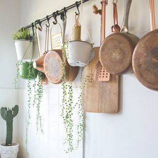 copper utensil rail with copper pans and string of pearls plants