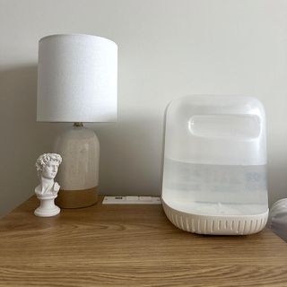 Bedside table with lamp, statuette, and Canopy Humidifier