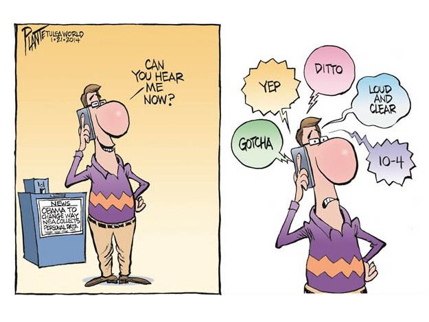 Political cartoon NSA reform