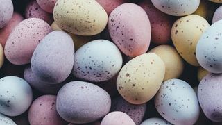 eggs