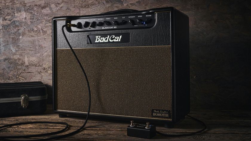 Bad Cat Mod Shop Black Cat Combo: the new boutique tube amp is photographed in closeup