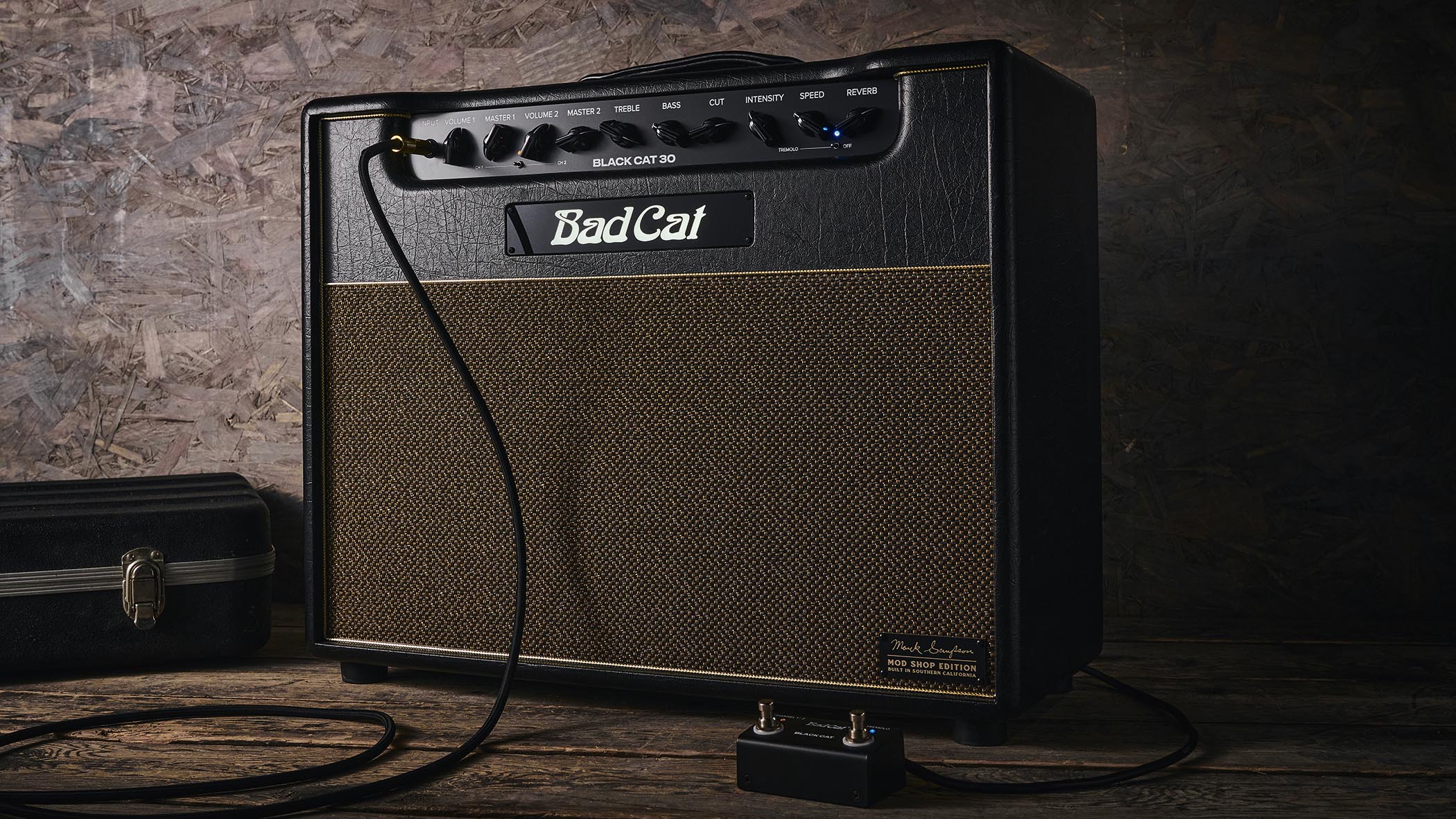 Bad Cat Mod Shop Black Cat Combo: the new boutique tube amp is photographed in closeup