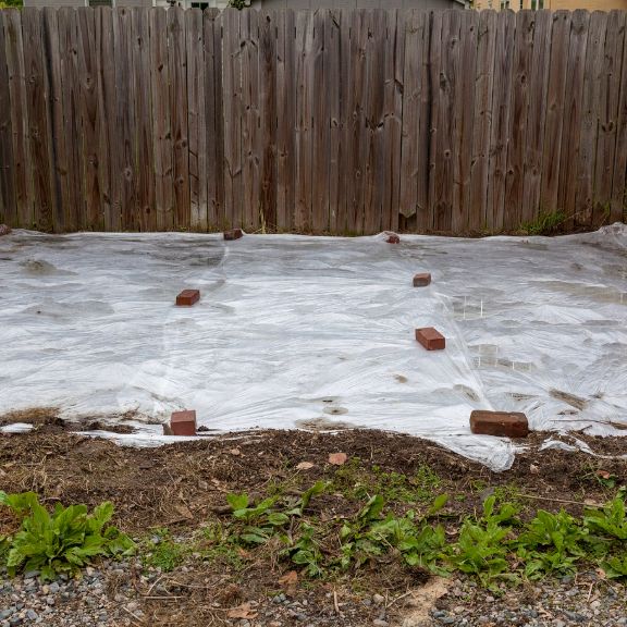 Lasagna Gardening Pros and Cons | Gardening Know How