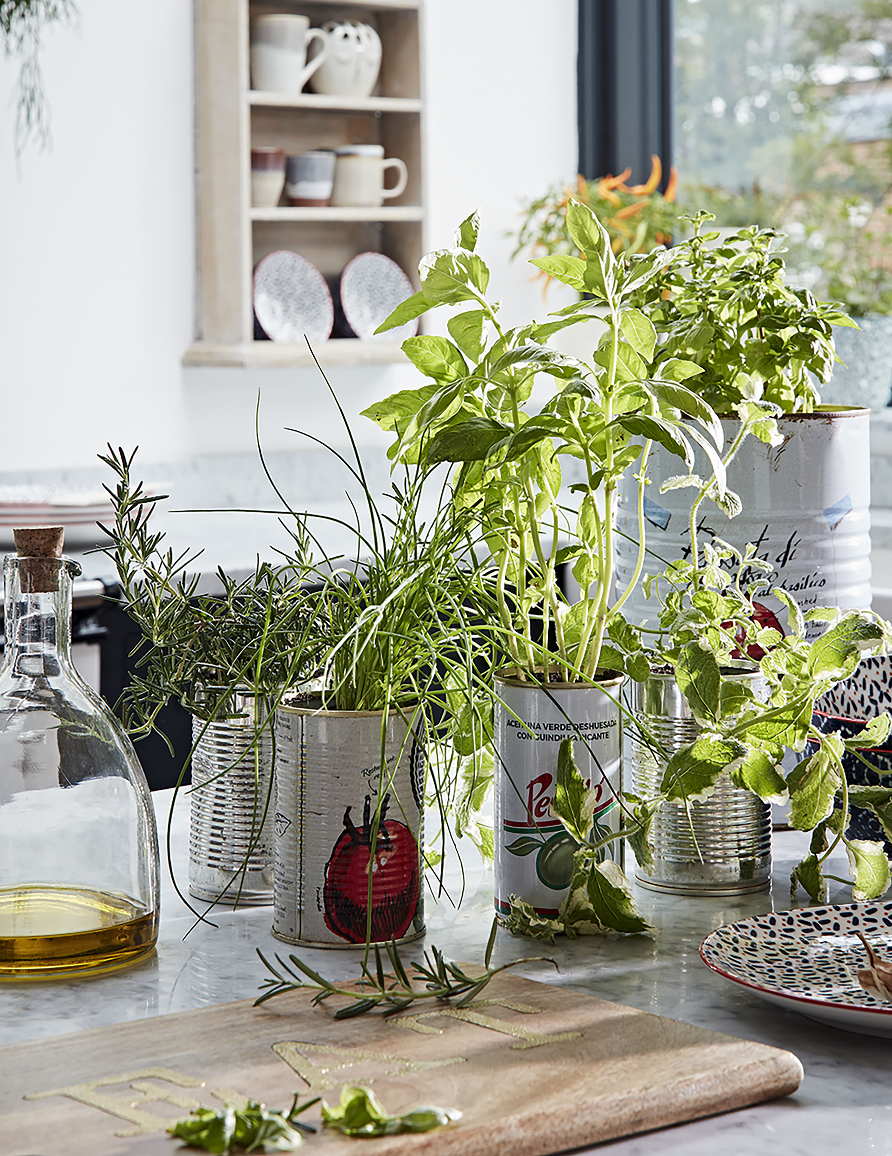 indoor garden ideas: herb garden in tins from dobbies