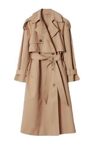 Belted Trench Coat