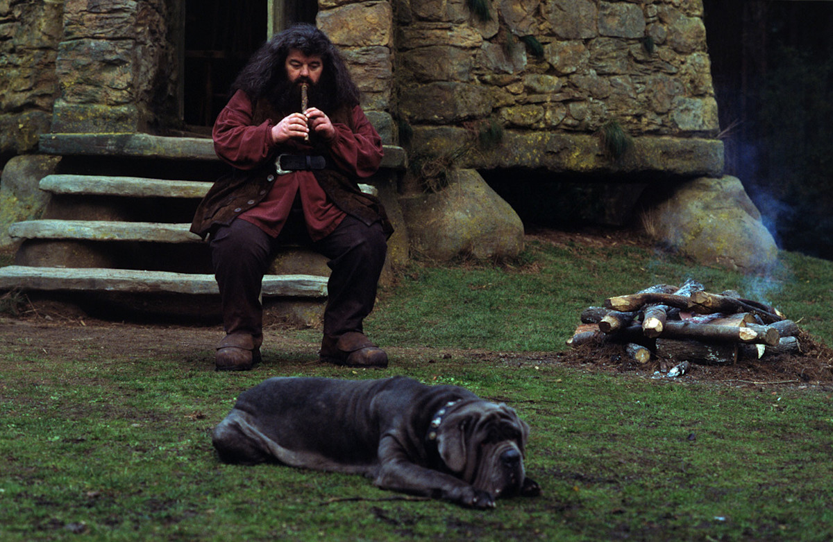 Hagrid sits on the stone steps of his hut playing a wooden flute while Fang, his large Neapolitan Mastiff, lies asleep on the grass beside a smouldering campfire.