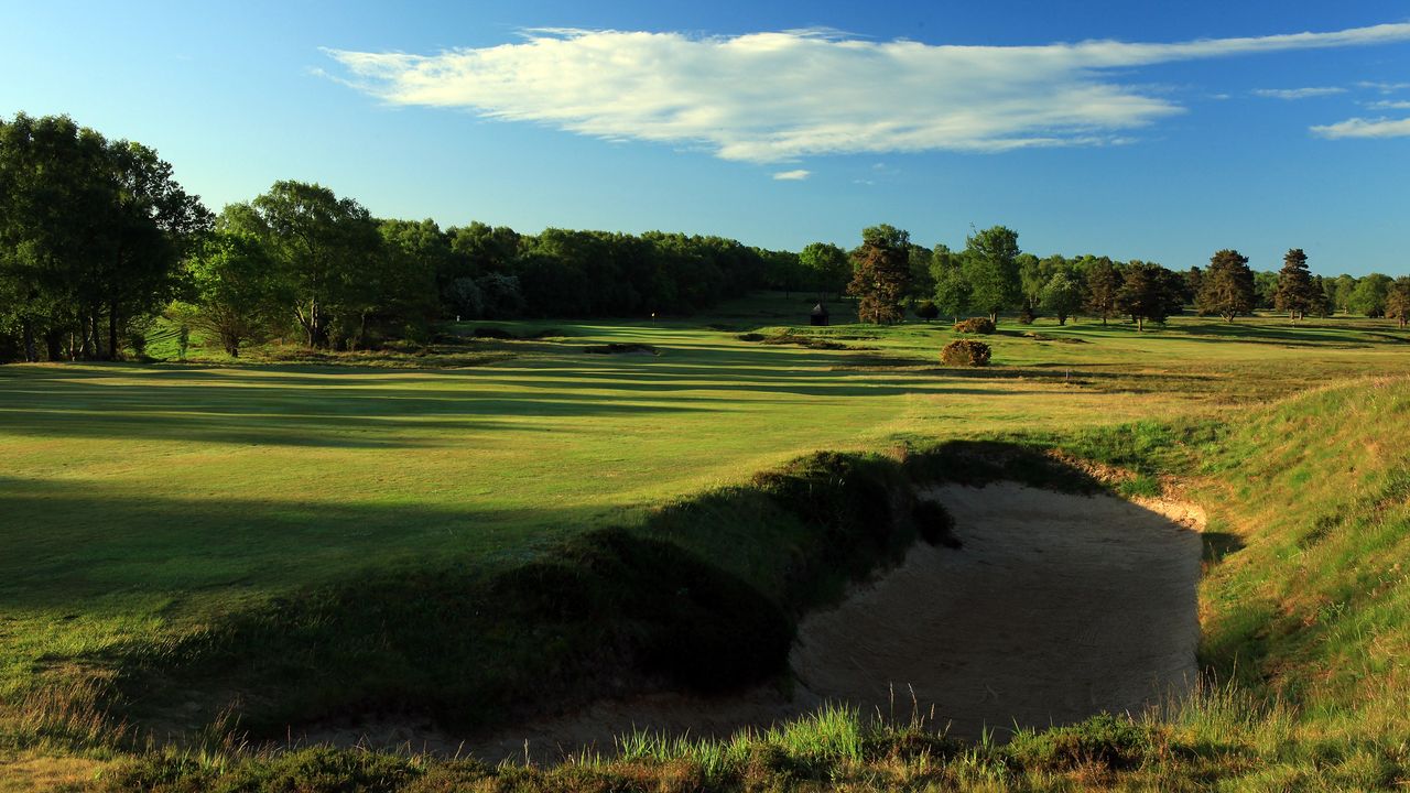 Walton heath