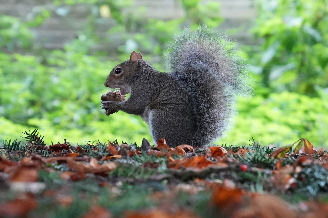 Sample photo taken in London on the Sony A7 IV camera