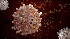 illustration of a b cell surrounded by antibodies