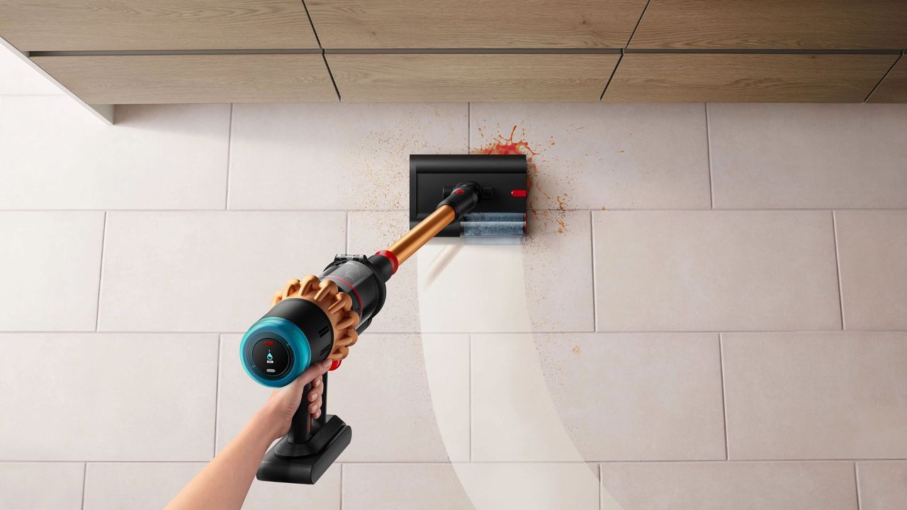 Dyson DS60 Piston Animal Vacuum