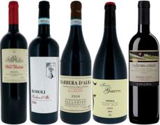 Piedmont red wines