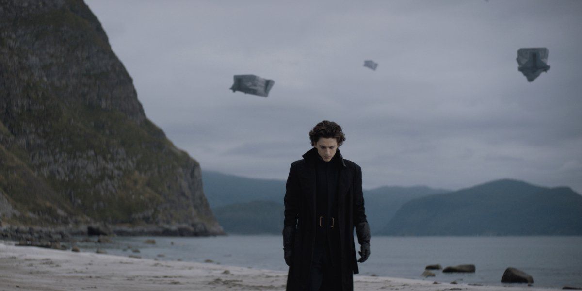 Timothée Chalamet And 11 Other Celebrities Who Are Actually ...