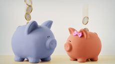 Blue piggy bank alongside a pink piggy bank wearing a bow, with coins falling into both