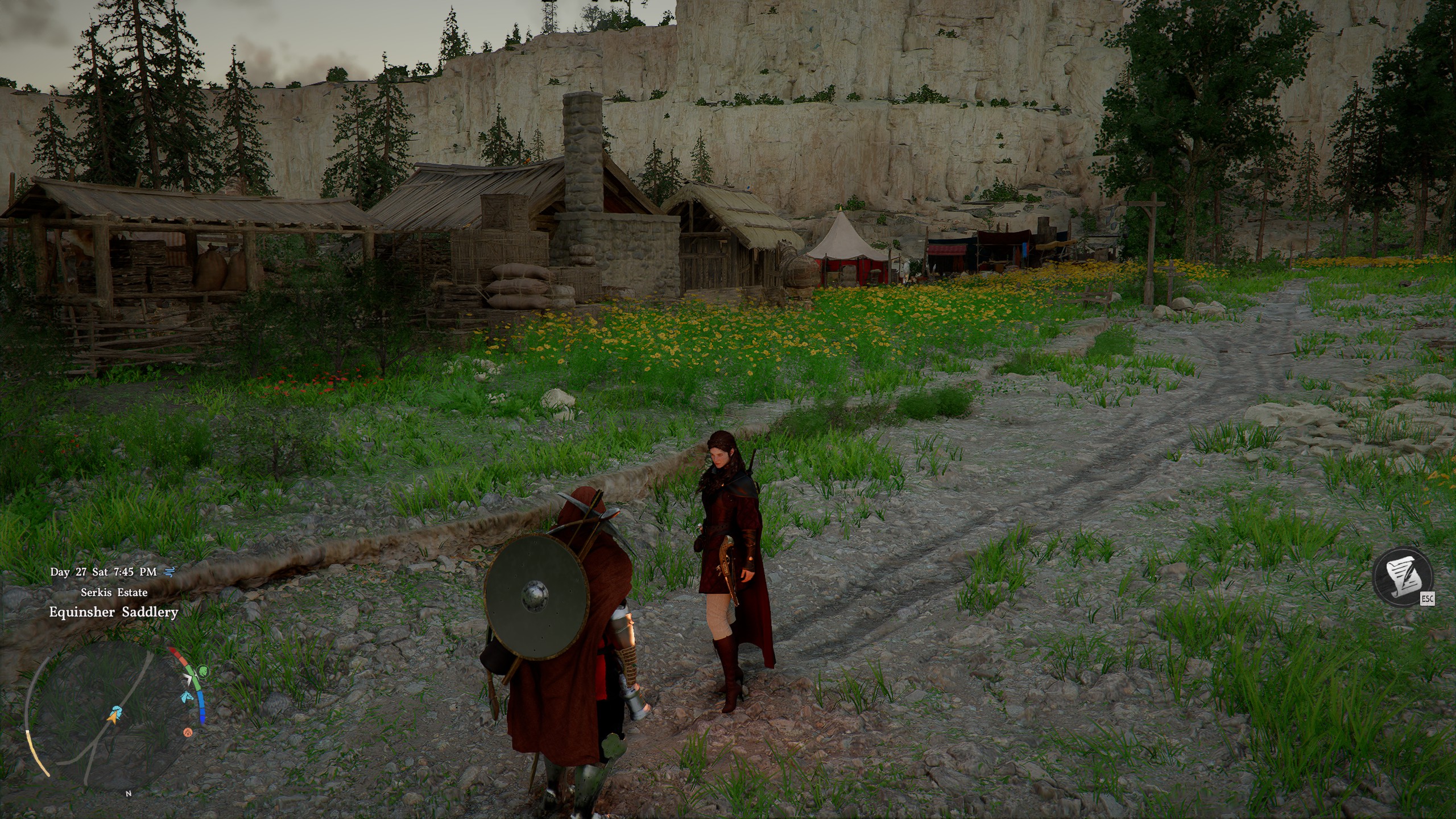 Crimson Desert characters - Summoning Damiane