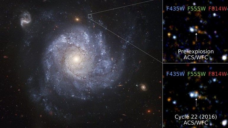 Unusual ‘Obi-Wan Kenobi’ star survives supernova explosion