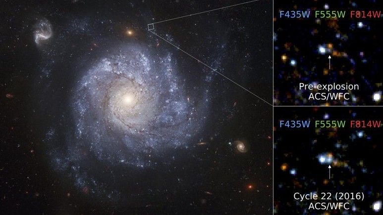 An &#039;Obi-Wan Kenobi&#039; star in a distant galaxy survived its own supernova explosion, appearing again even brighter than before.