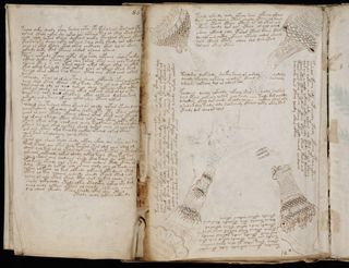 The Voynich Manuscript (a couple of pages shown here) has elicited intense debate since it was acquired in 1912 by antiquarian Wilfred Voynich.