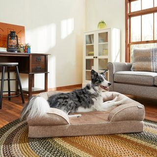 Frisco Plush Orthopedic Front Bolster Bed