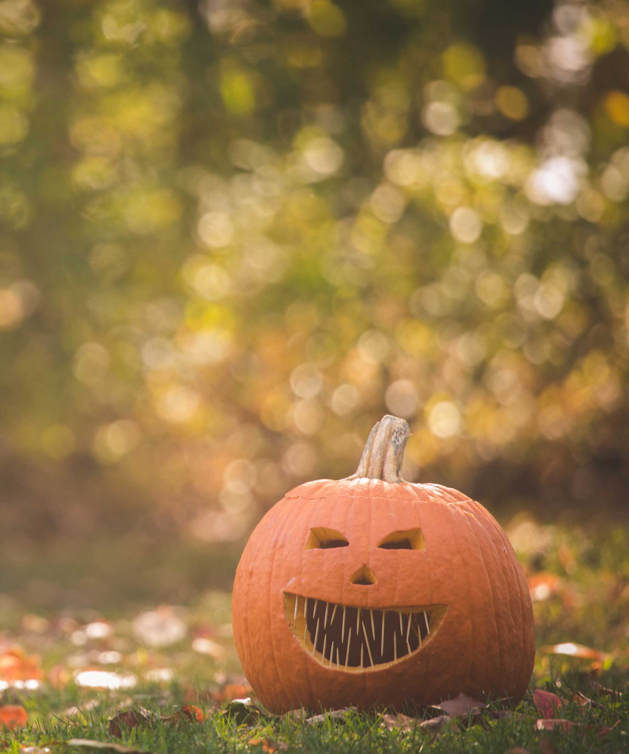 Halloween pumpkin with toothpicks in mouth