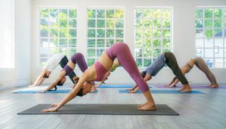 Six people performing downward-facing dog yoga pose in a studio