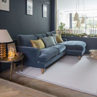 blue sofa and pale area rug in living room