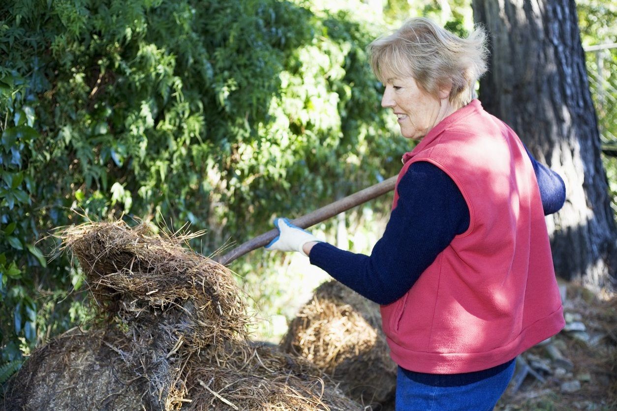 Woman Mulching With Lucerne Hay