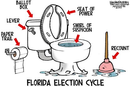 U.S. Florida midterm vote recount
