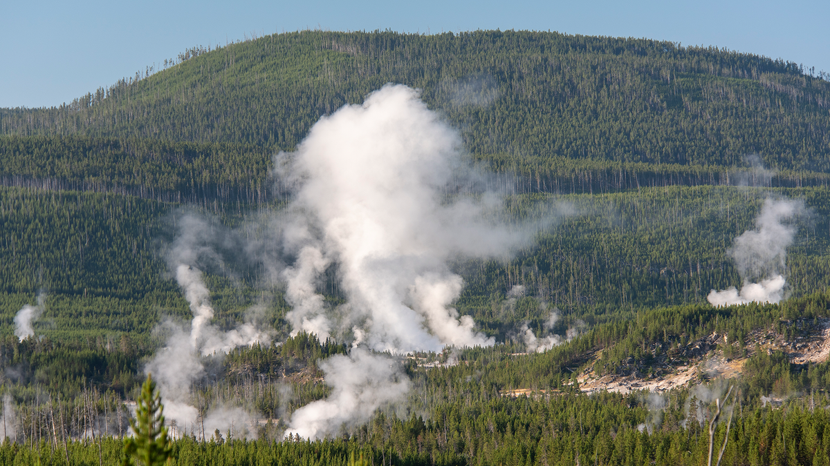 Yellowstone fires