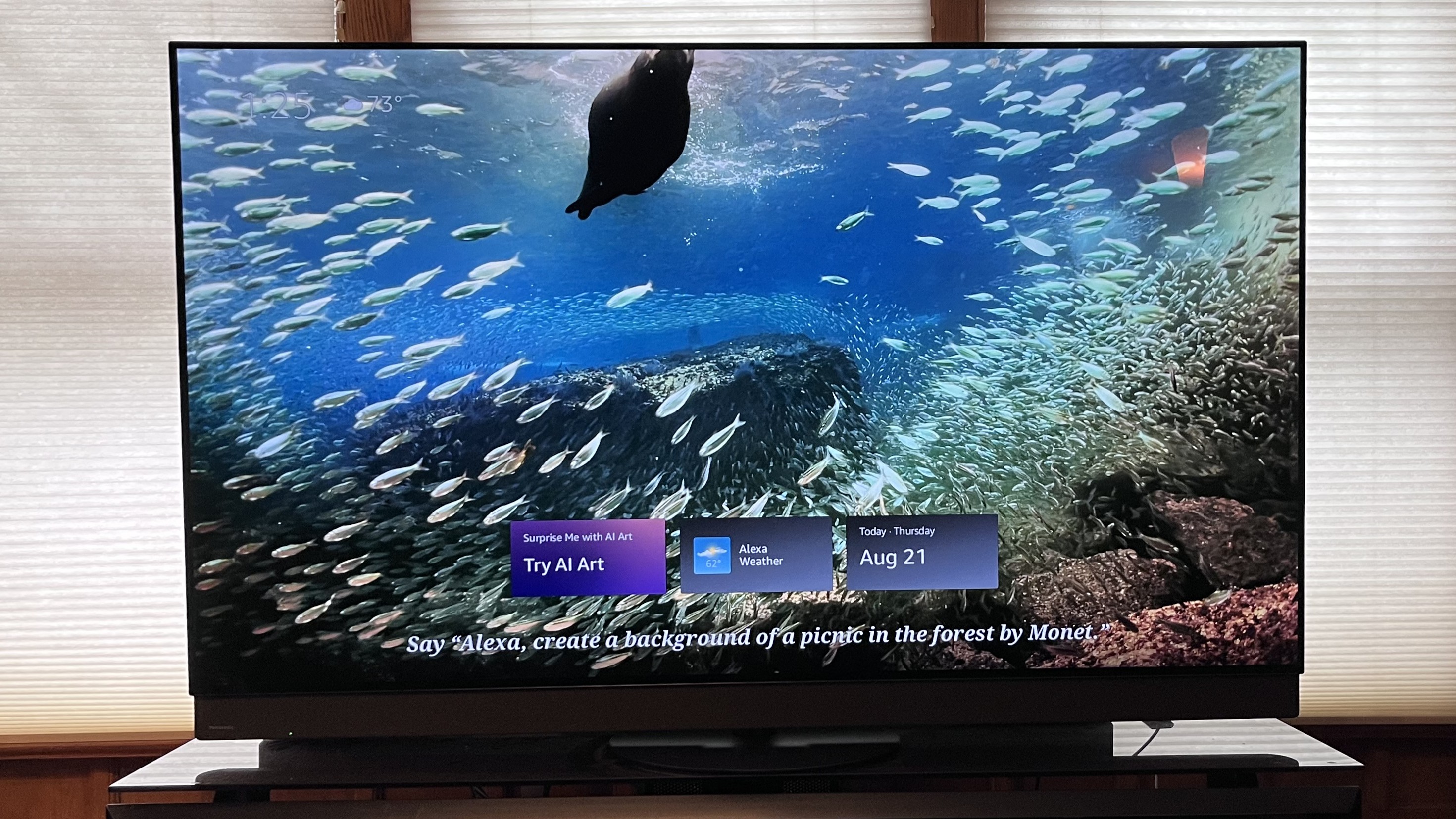 Panasonic z95b showing image of swimming fish