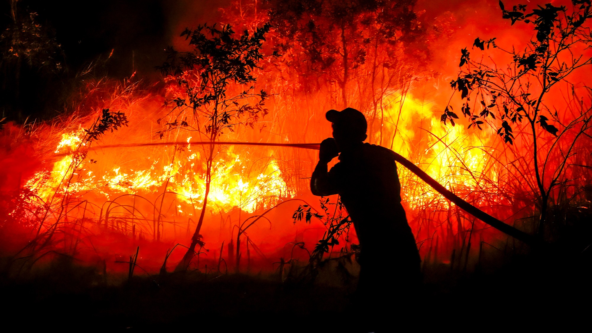A firefighter douses a forest fire in Ogan Ilir, South Sumatra
