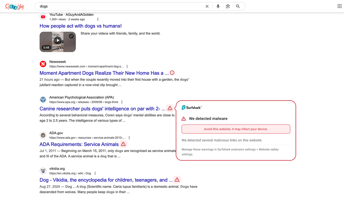 Google खोजमा मालिसियस वेबसाइटहरू फ्ल्याग गर्ने Surfshark VPN ब्राउजर एक्स्टेन्सनको स्क्रिनसट