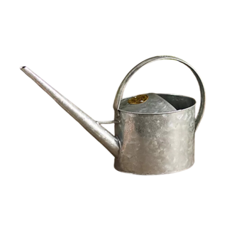A silver watering can
