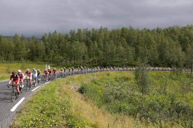 The peloton in action during stage 1 at the Arctic Race of Norway