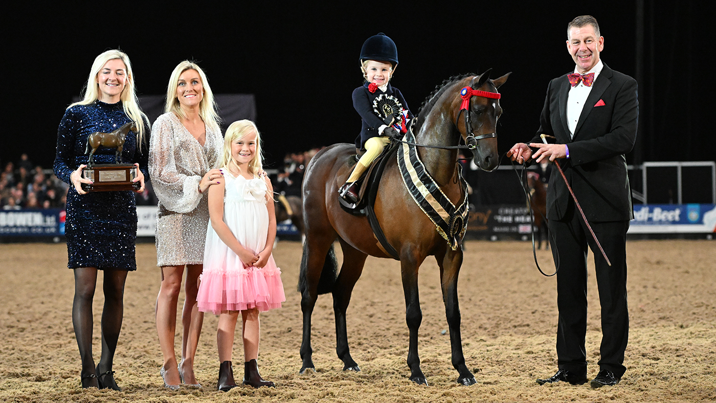 Mini champion Derw Dream Boy stood HOYS supreme pony last year. The HOYS 2025 supreme judge will be Lisha Leeman.