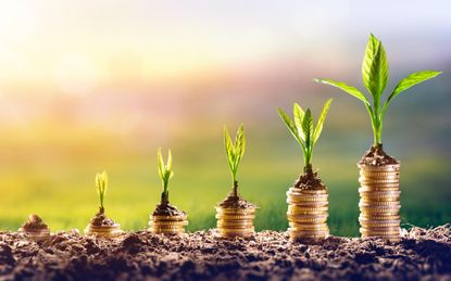 Growing Plant On Money - Finance Investment Concept
